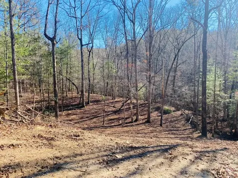 Lot 205 Windy Mountain Peak Lane Murphy NC 28906