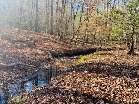 Lot 205 Windy Mountain Peak Lane Murphy NC 28906