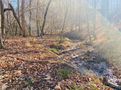 Lot 205 Windy Mountain Peak Lane Murphy NC 28906
