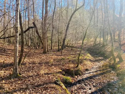 Lot 205 Windy Mountain Peak Lane Murphy NC 28906