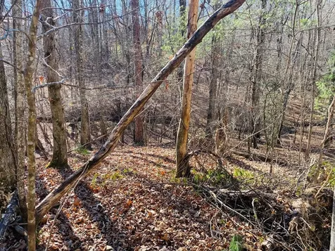 Lot 205 Windy Mountain Peak Lane Murphy NC 28906