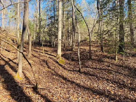 Lot 205 Windy Mountain Peak Lane Murphy NC 28906