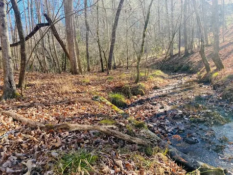 Lot 205 Windy Mountain Peak Lane Murphy NC 28906