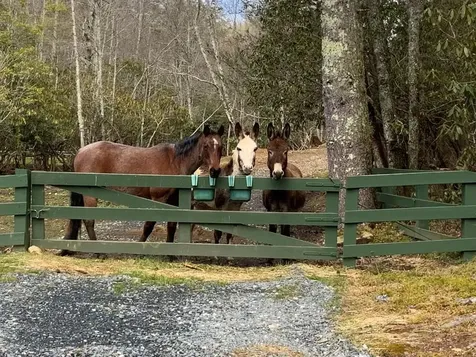 170 Polaris Way Bryson City NC 28713