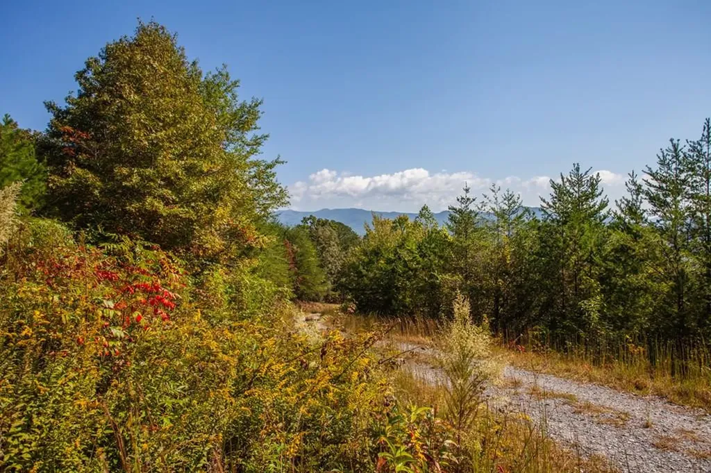 000 Mistletoe Ridge Murphy NC 28906