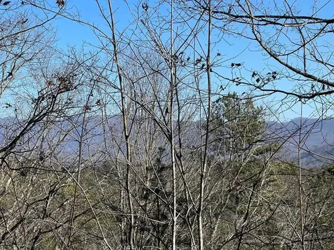 000 Mistletoe Ridge Murphy NC 28906