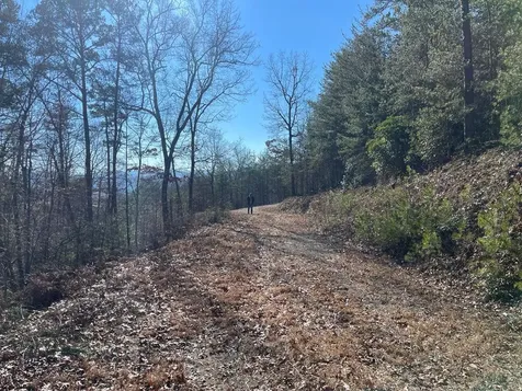 000 Mistletoe Ridge Murphy NC 28906