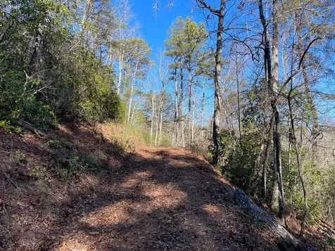 000 Mistletoe Ridge Murphy NC 28906