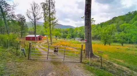 3325 Pack Mountain Road Murphy NC 28906