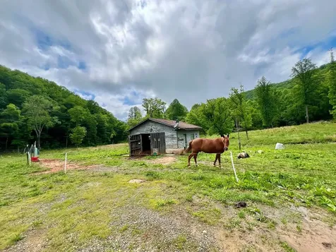 3325 Pack Mountain Road Murphy NC 28906