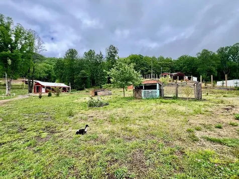 3325 Pack Mountain Road Murphy NC 28906