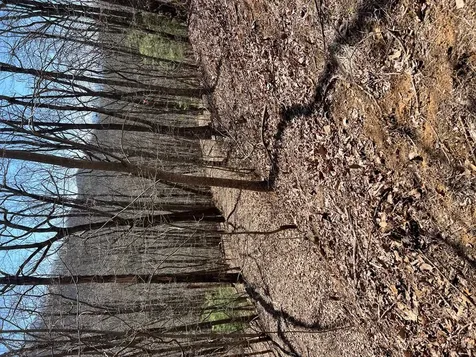 Lots Wolf Mountain Estates Murphy NC 28906