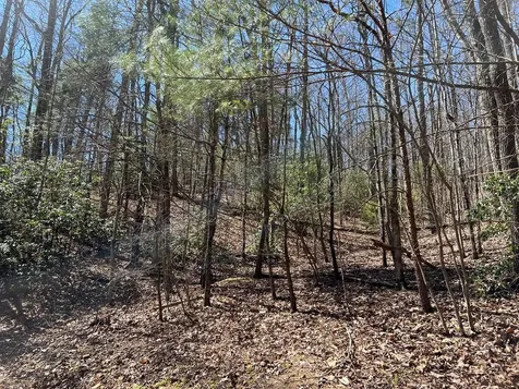 Lots Wolf Mountain Estates Murphy NC 28906