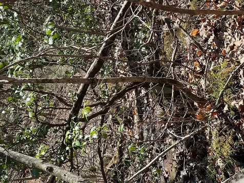 Lots Wolf Mountain Estates Murphy NC 28906