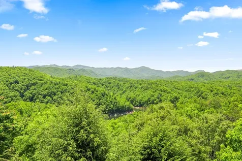 167 Wild Orchid Trail Bryson City NC 28713