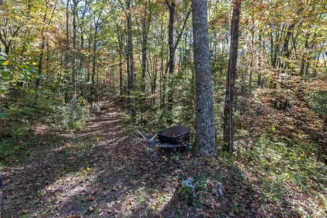 294 Sunnyside Lane Marble NC 28905
