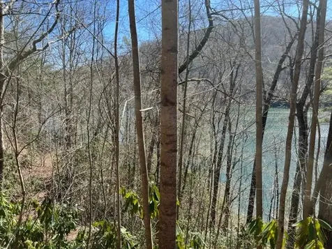 Lot 41 Indian Lake Drive Topton NC 28781