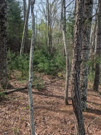Lt 7a Lake Appalachia Acres Drive Murphy NC 28906