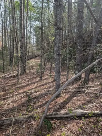Lt 7a Lake Appalachia Acres Drive Murphy NC 28906