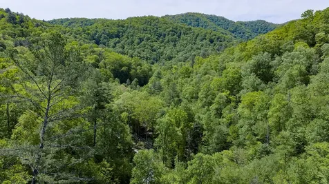 4700 W Buffalo Road Robbinsville NC 28771