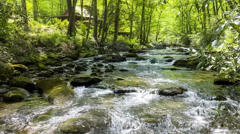 4700 W Buffalo Road Robbinsville NC 28771