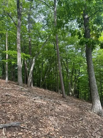 Lot 4 Hampton Knob Murphy NC 28906