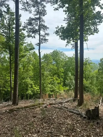Lot 4 Hampton Knob Murphy NC 28906