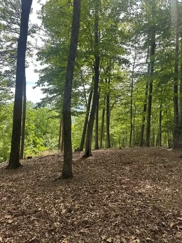 Lot 4 Hampton Knob Murphy NC 28906