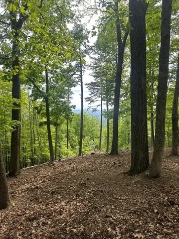 Lot 4 Hampton Knob Murphy NC 28906