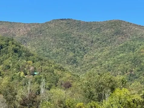 10617 Highway 64 E Hayesville NC 28904