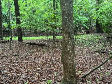 3410 Moccasin Creek Road Murphy NC 28906