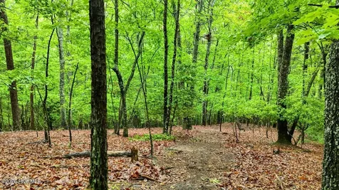 3410 Moccasin Creek Road Murphy NC 28906