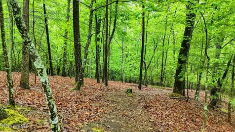 3410 Moccasin Creek Road Murphy NC 28906
