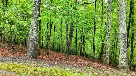 3410 Moccasin Creek Road Murphy NC 28906