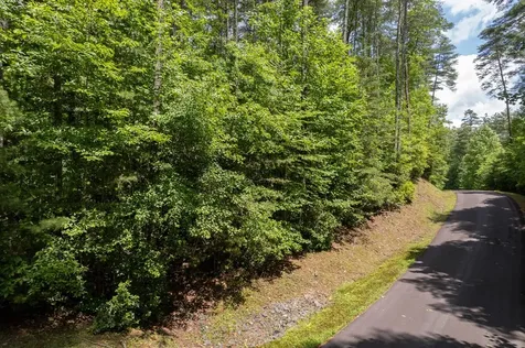 Tbd Spectacular Boulevard Hayesville NC 28904