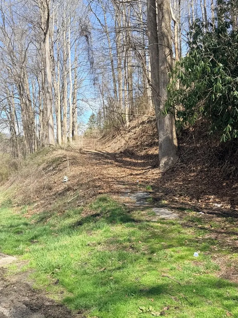 1021 Us Highway 19 Topton NC 28781
