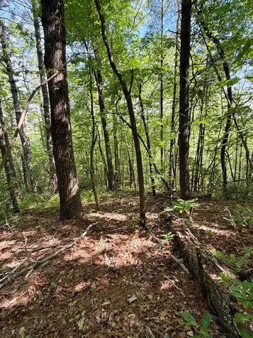675 Ed Graves Road Murphy NC 28906