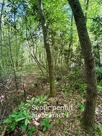 675 Ed Graves Road Murphy NC 28906