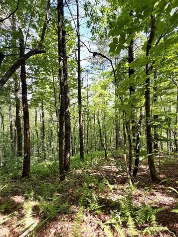 675 Ed Graves Road Murphy NC 28906