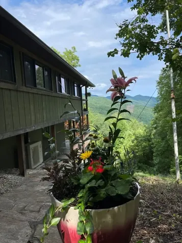 354 Deals Gap Robbinsville NC 28771