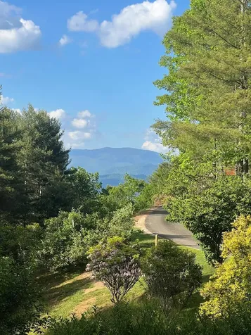 750 Double Springs Drive Almond NC 28702