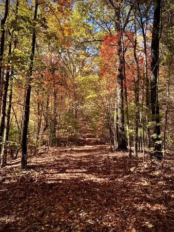 224 Pine Bough Road Murphy NC 28906
