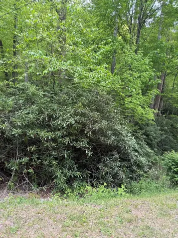 2 Lots Warrior Way Road Andrews NC 28781