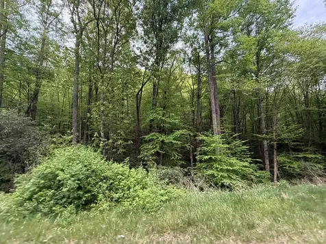 2 Lots Warrior Way Road Andrews NC 28781