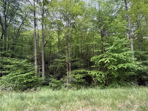 2 Lots Warrior Way Road Andrews NC 28781