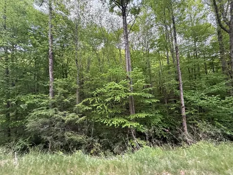2 Lots Warrior Way Road Andrews NC 28781
