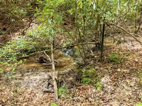 277 Clay Durrett Road Murphy NC 28906