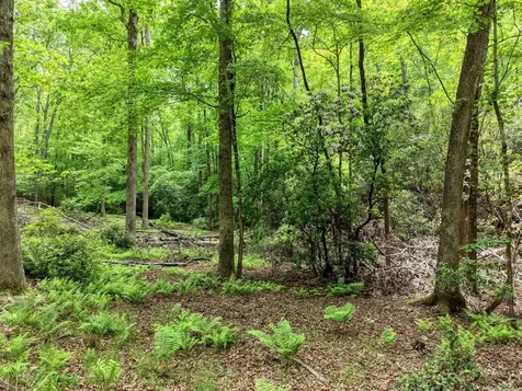 277 Clay Durrett Road Murphy NC 28906
