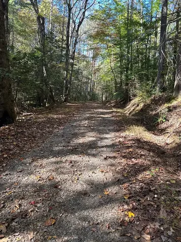 Lot 6 Beaverdam Loop Murphy NC 28906