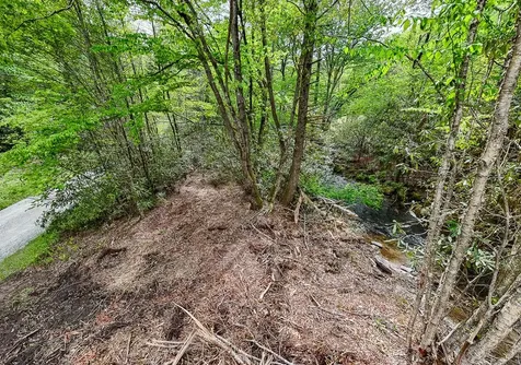 795 Porterfield Gap Road Robbinsville NC 28771
